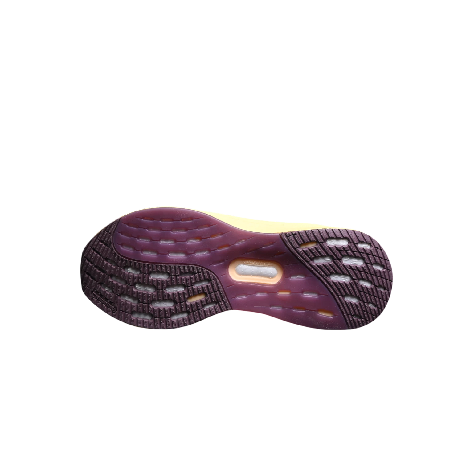 Adidas ultraboost 5 anatomic shoes