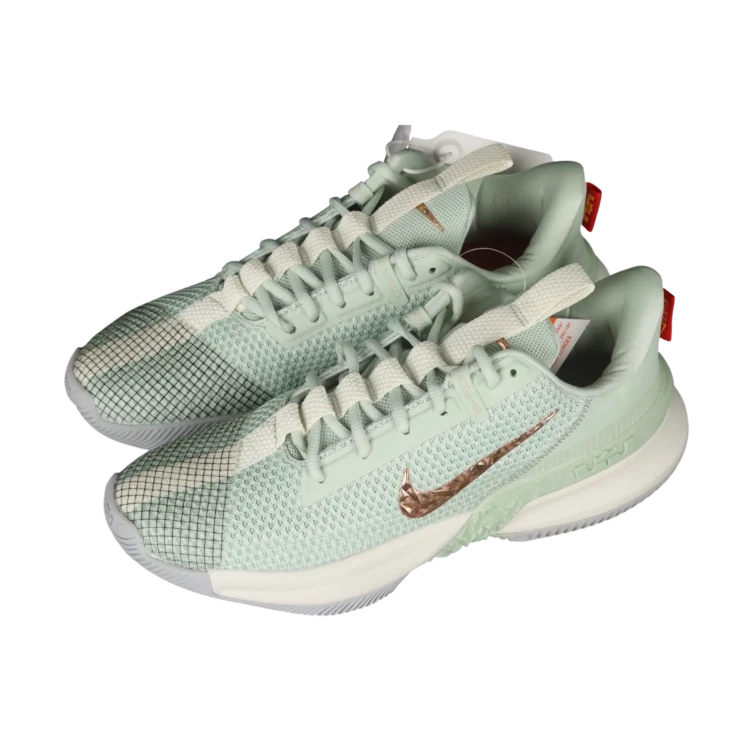 Nike lebron ambassador xiii "empire jade" shoes